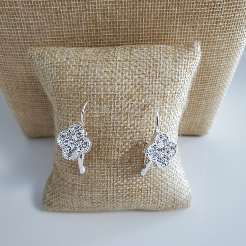Fashion Earrings